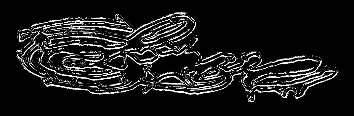 Archive — Lettering and logos · Visakion